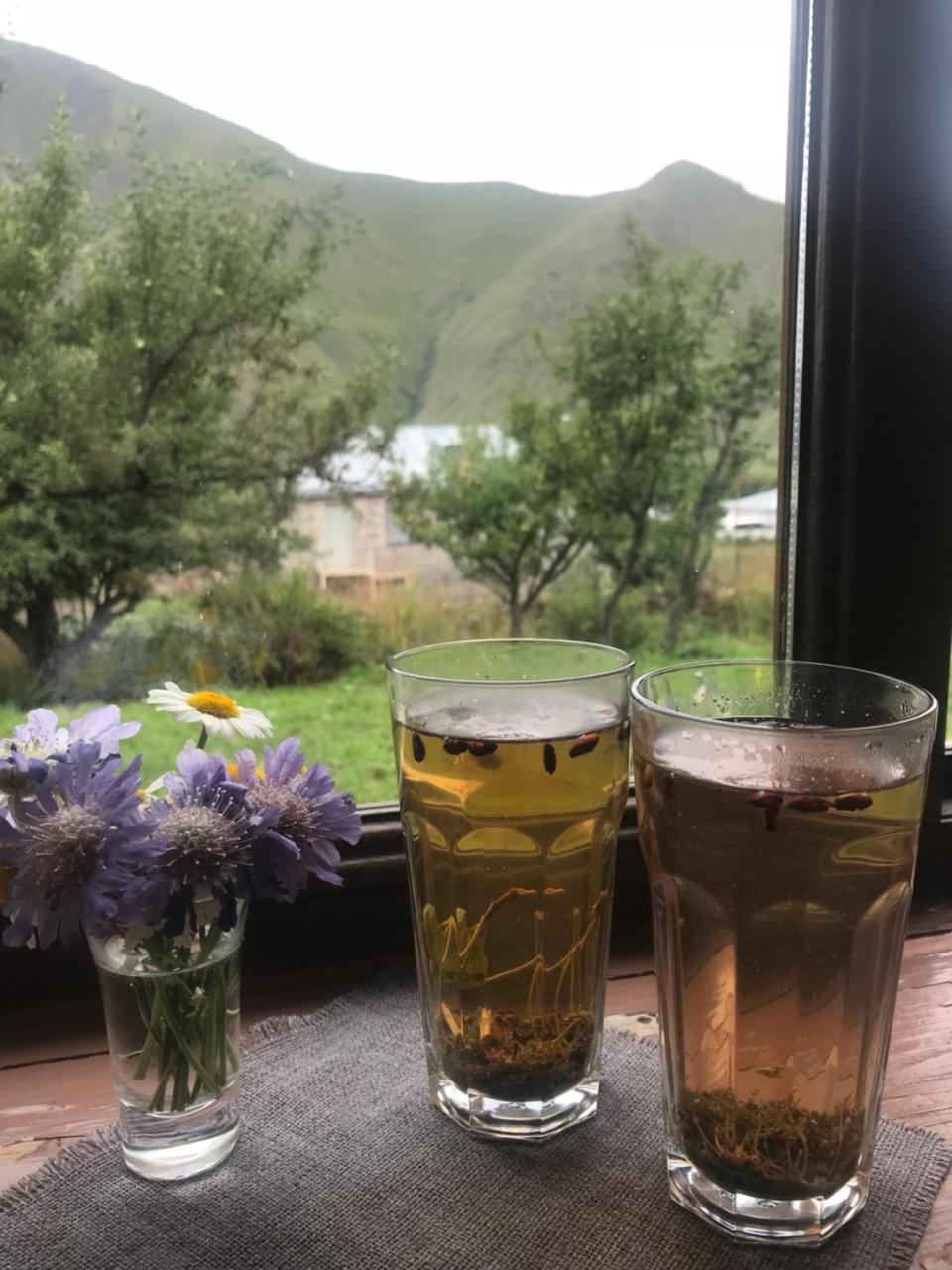 Dachi Inn Kazbegi Exterior foto